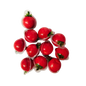 Chicle Fresa, und
